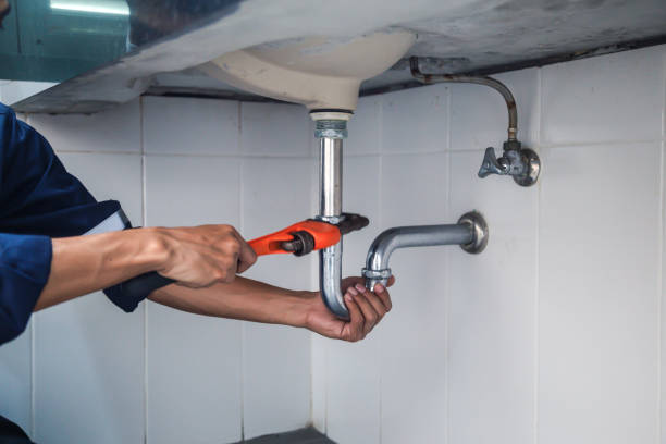 Best Plumbing Inspection Services  in Stanley, WI